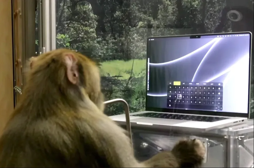 2002 - Monkeys control cursor